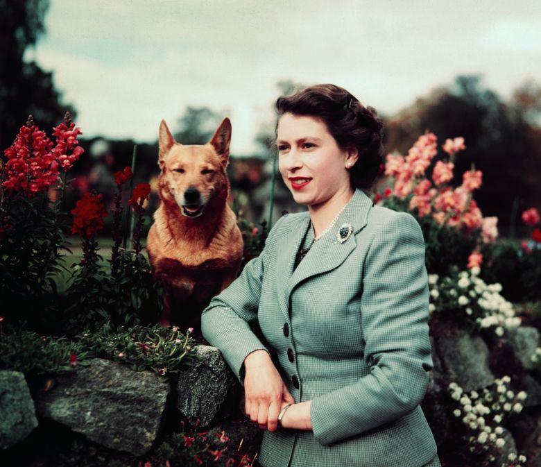 Queen Elizabeth II with her corgi at Balmoral 1952
